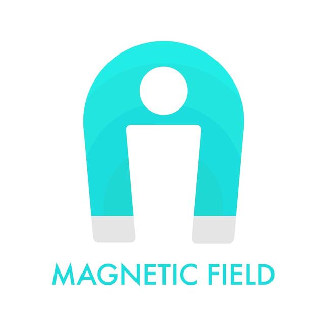 Magnetic Field